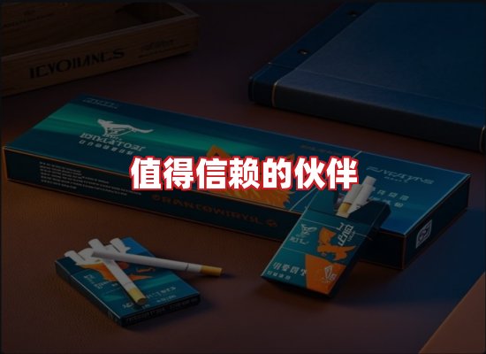 专业团队
